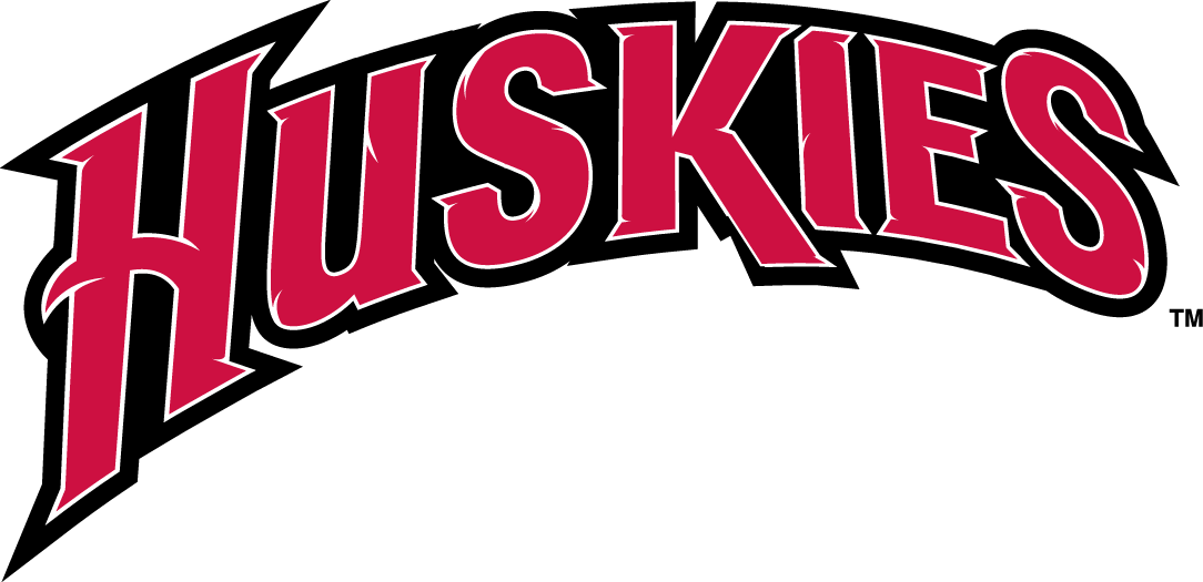 St. Cloud State Huskies 2000-2013 Wordmark Logo diy iron on heat transfer